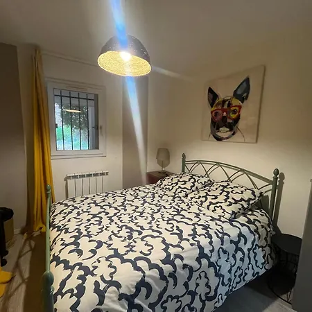 Moderne Avec Terrasse A - Fr-1-338-636 *